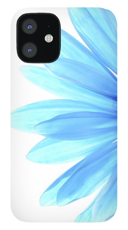 Daisy iPhone 12 Case featuring the photograph Color Me Blue by Rebecca Cozart