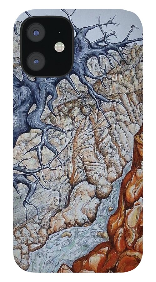 Abstract iPhone 12 Case featuring the drawing Colorado Canyon by Leizel Grant
