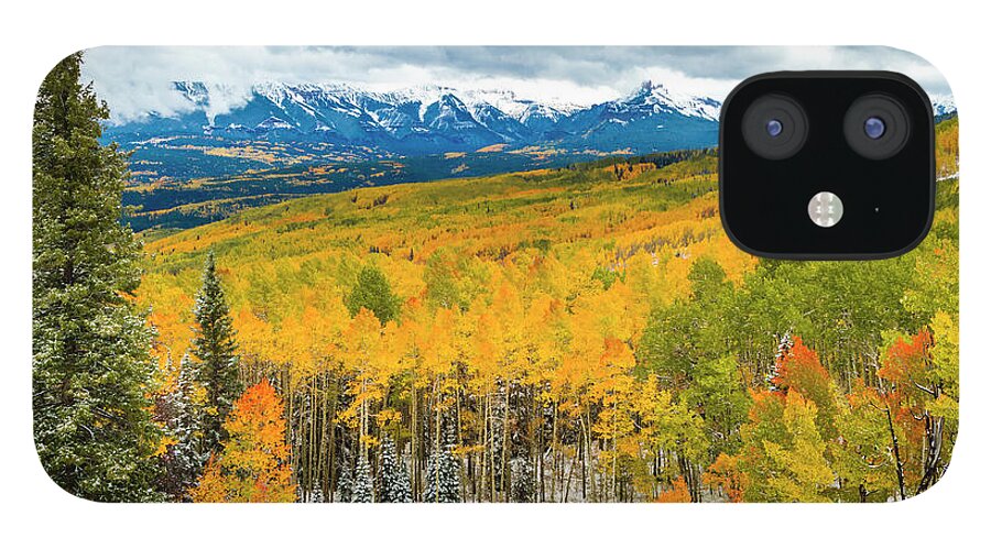 Aspen Trees iPhone 12 Case featuring the photograph Colorado Valley of Autumn Color by Teri Virbickis
