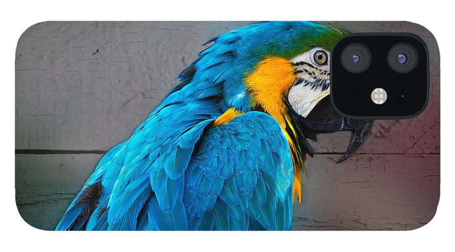 Bird iPhone 12 Case featuring the photograph Colorful by Robert Pilkington
