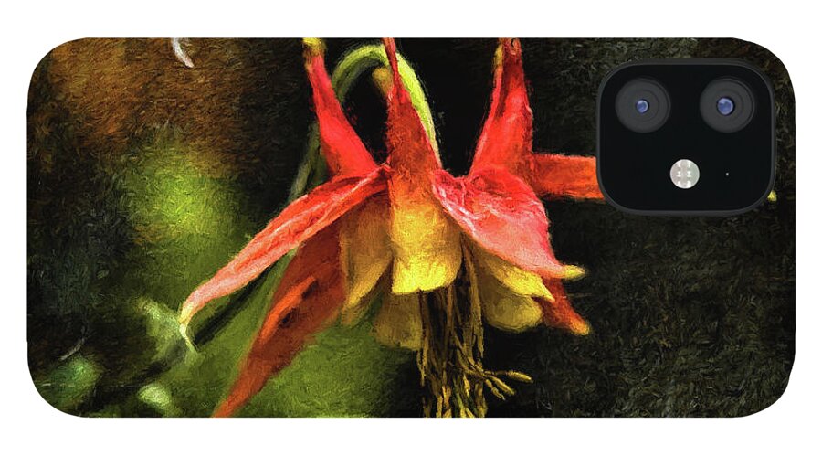 Wildflower iPhone 12 Case featuring the photograph Columbine 2016 digital painting by Fred Denner