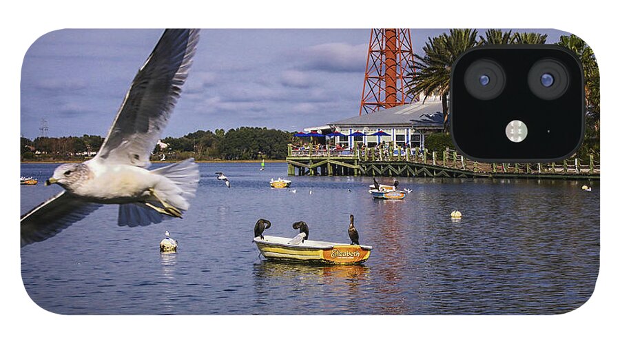 Ahingas Sitting On A Boat iPhone 12 Case featuring the photograph Coming In For A Landing #2 by Mary Lou Chmura