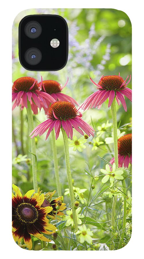 Garden iPhone 12 Case featuring the photograph Coneflower scene by Garden Gate