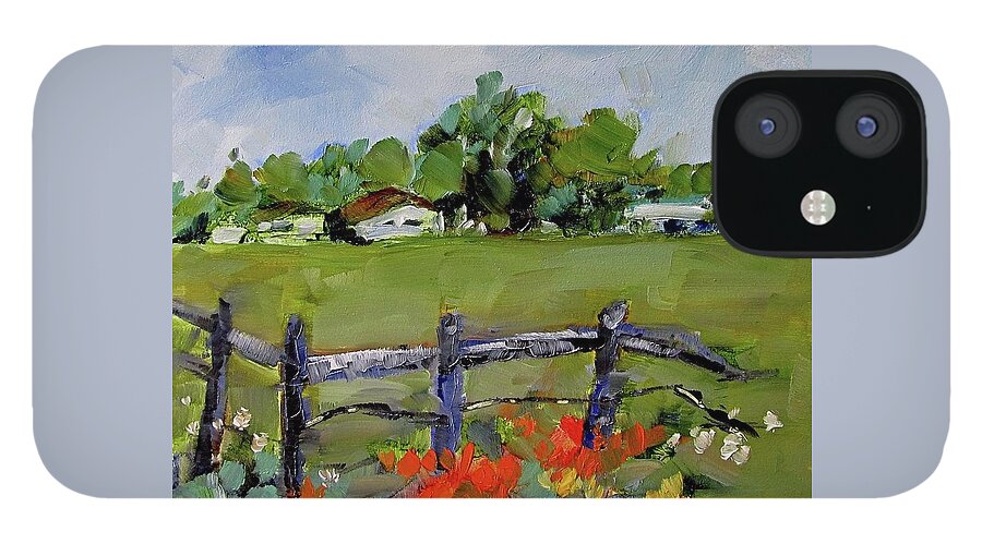 Texas iPhone 12 Case featuring the painting Corner Lot, Texas Style by Adele Bower