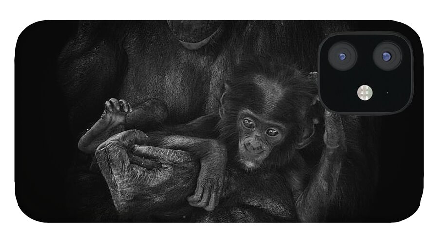 Crystal Yingling iPhone 12 Case featuring the photograph Cradle by Ghostwinds Photography