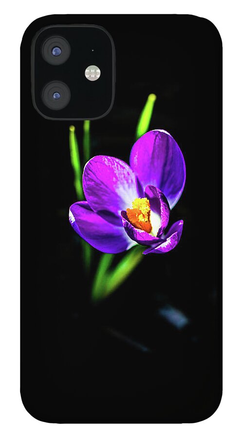 Flower iPhone 12 Case featuring the pyrography Crocus 2018-2 by Barry Wills