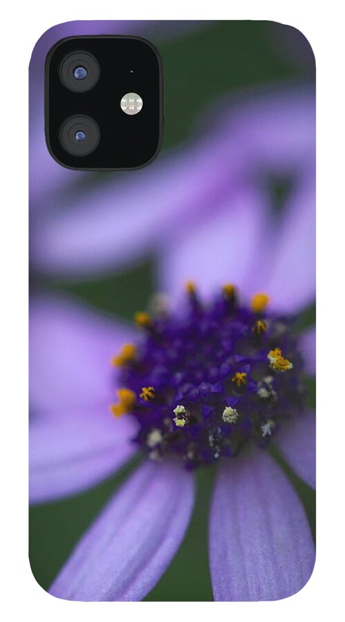 Flowers iPhone 12 Case featuring the photograph Crowned with Purple by Jessica Myscofski