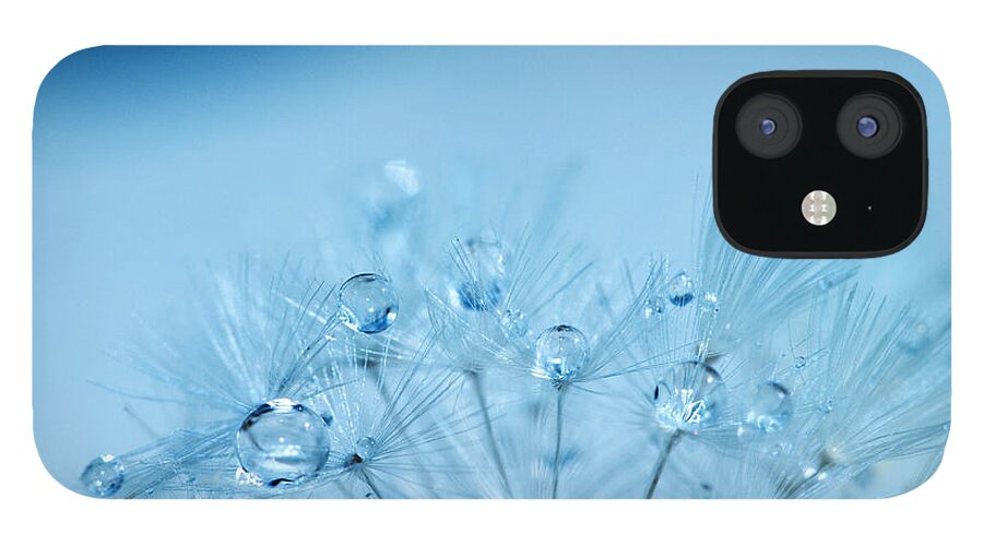 Water iPhone 12 Case featuring the photograph Dandelion Bouquet by Rebecca Cozart