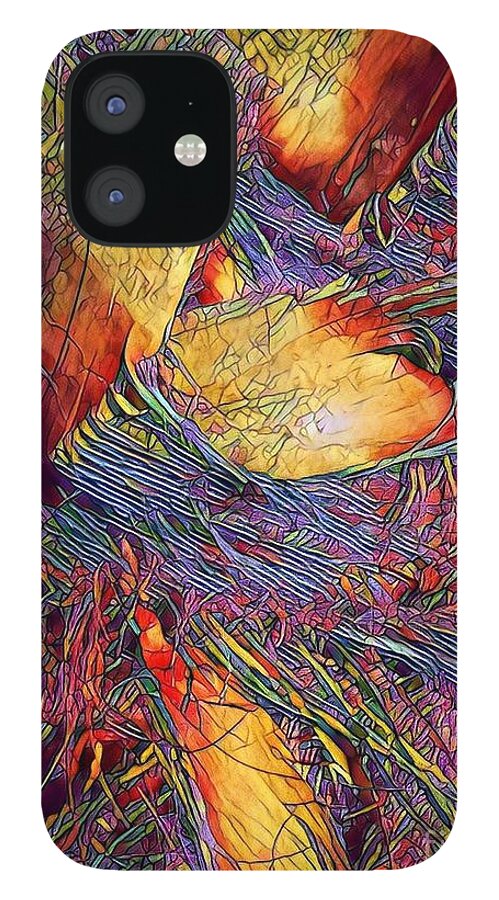 Date Palm iPhone 12 Case featuring the photograph Date with a rainbow by Jarek Filipowicz