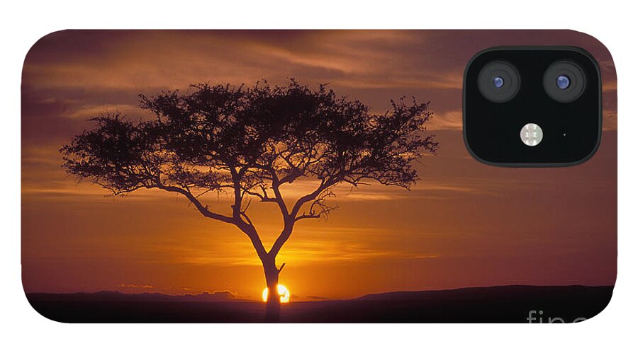 Sunrise iPhone 12 Case featuring the photograph Dawn on the Masai Mara by Sandra Bronstein