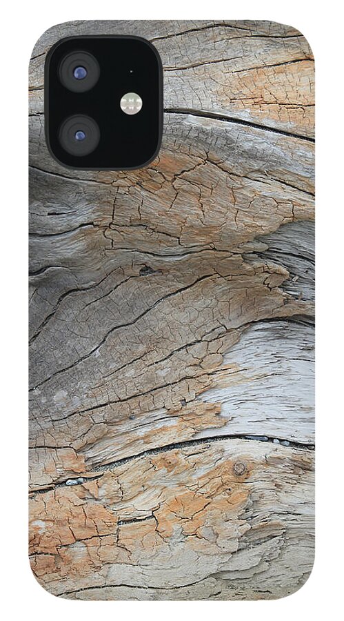 Tidal iPhone 12 Case featuring the photograph Decomposition III by Annekathrin Hansen