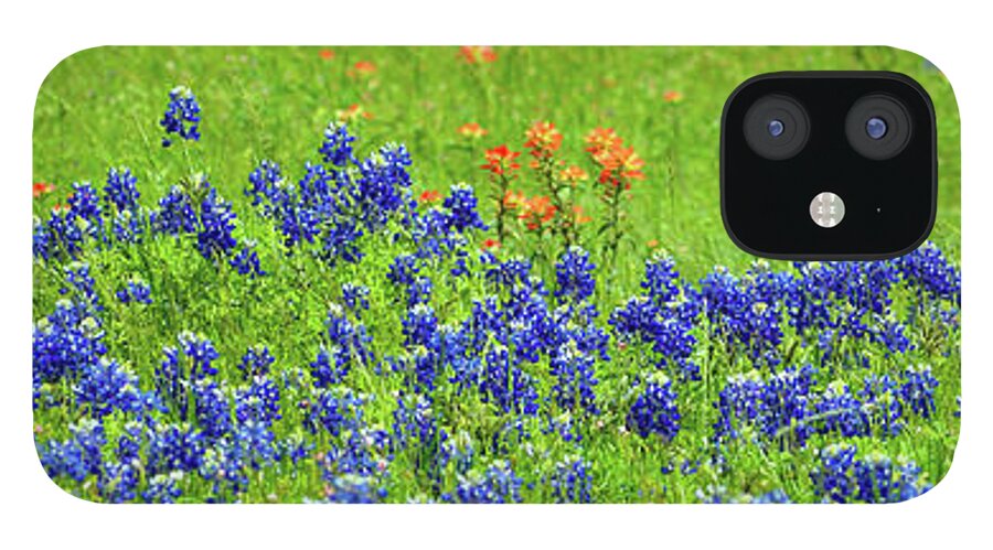 Photo iPhone 12 Case featuring the photograph Decorative Texas Bluebonnet Meadow Photo A32517 by Mas Art Studio