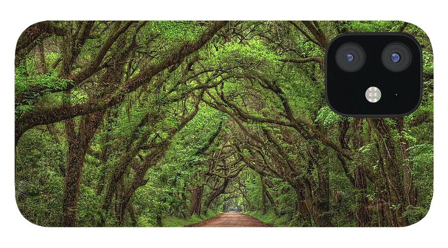 Charleston iPhone 12 Case featuring the photograph Deep South Plantation Road by Douglas Berry