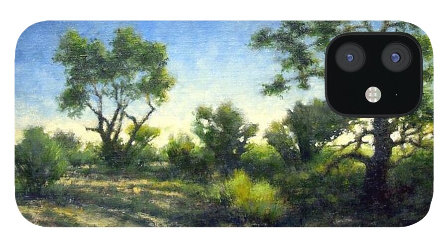 Quiet iPhone 12 Case featuring the painting Desert Wash by Jim Gola