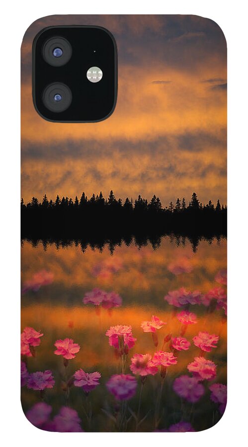 Canada iPhone 12 Case featuring the photograph Destiny by Doug Gibbons