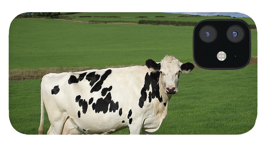 Cow iPhone 12 Case featuring the photograph Devon Milk Factory by Pete Hemington