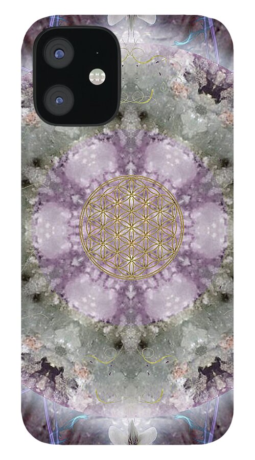 Mandala iPhone 12 Case featuring the digital art Divine Love by Alicia Kent