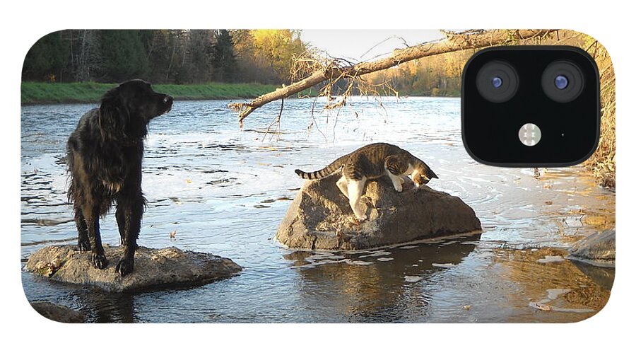 Dog iPhone 12 Case featuring the photograph Dog and Cat Exploring Rocks by Kent Lorentzen