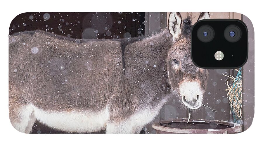 Donkey iPhone 12 Case featuring the photograph Donkey Watching It Snow by Jennifer Grossnickle