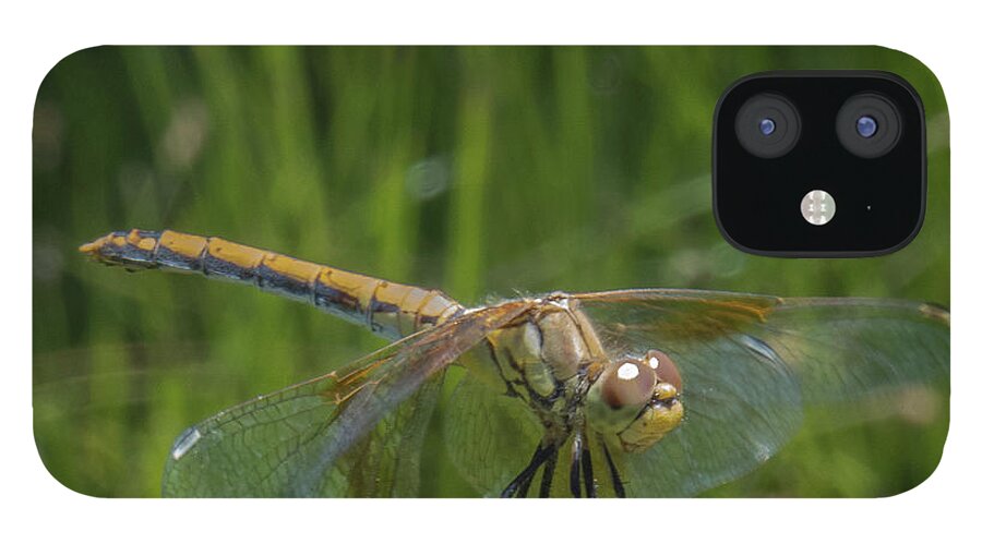 Dragonfly iPhone 12 Case featuring the photograph Dragonfly 7 by Christy Garavetto