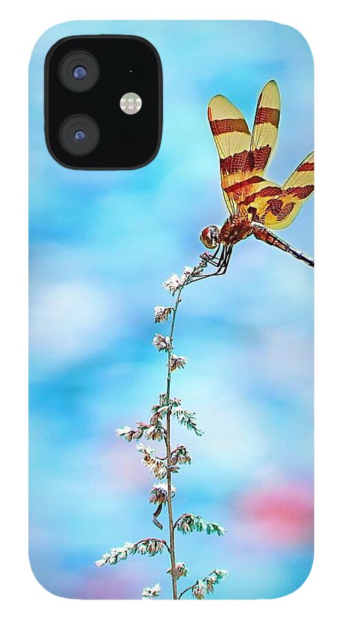 Dragonfly iPhone 12 Case featuring the photograph Dragonfly by Lorella Schoales