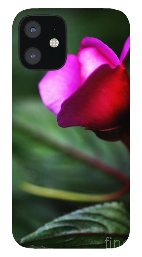 Rose iPhone 12 Case featuring the photograph Dreams Realized by Linda Shafer