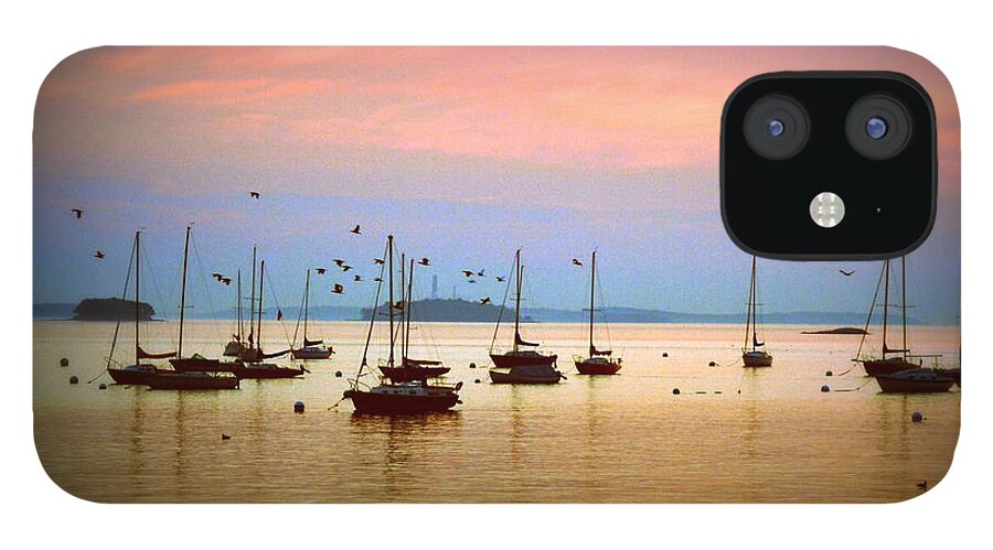 Sunrise iPhone 12 Case featuring the photograph Flying By by Colleen Phaedra