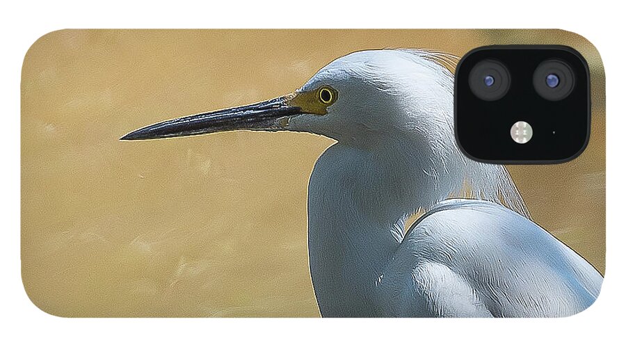 Bird iPhone 12 Case featuring the photograph Egret Pose by Norman Peay
