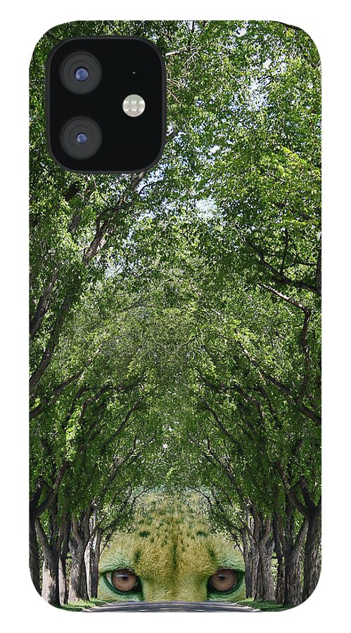 Treed Street iPhone 12 Case featuring the photograph End of the Road by Stan Kwong