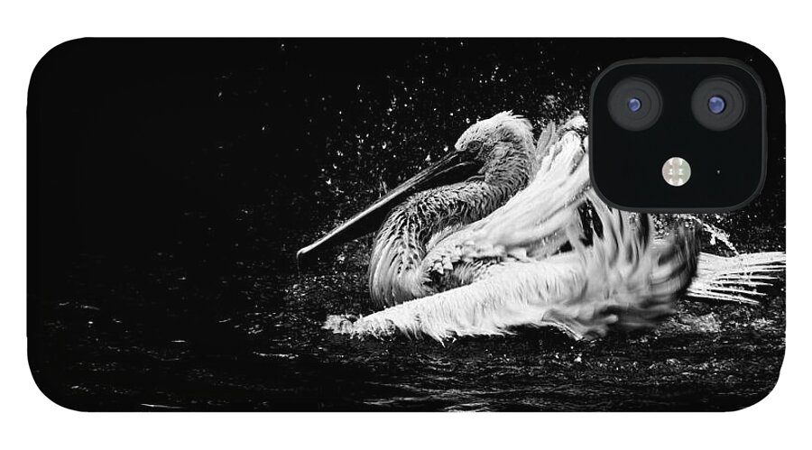 Pelican iPhone 12 Case featuring the photograph Evening bath by Venetta Archer
