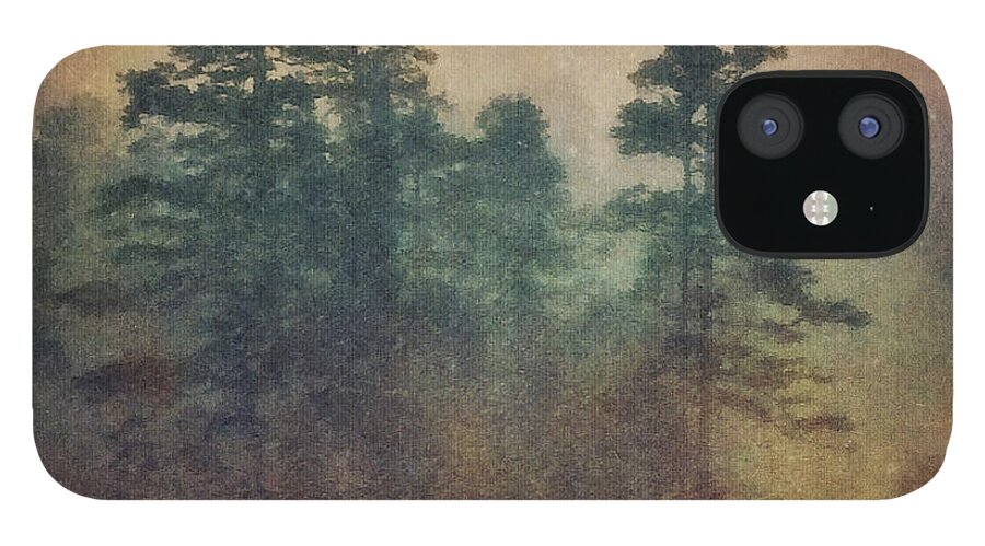 Photography iPhone 12 Case featuring the photograph Evening Snow Glow by Melissa D Johnston