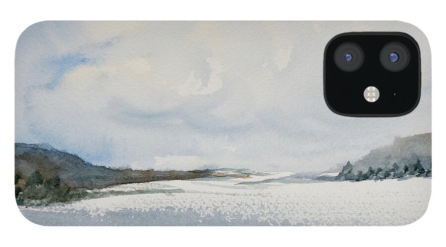 Afternoon iPhone 12 Case featuring the painting Fair Weather or Foul? by Dorothy Darden