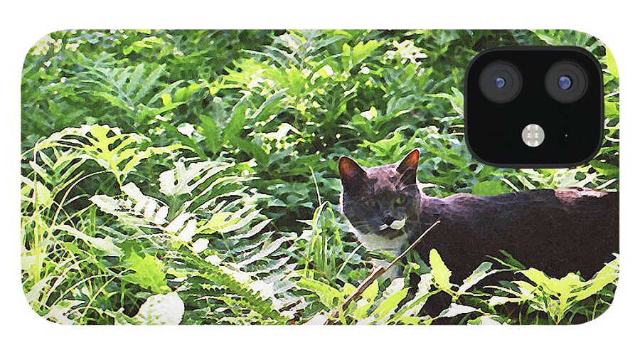 Cat In Woods iPhone 12 Case featuring the photograph Fearless Hunter by Geoff Jewett