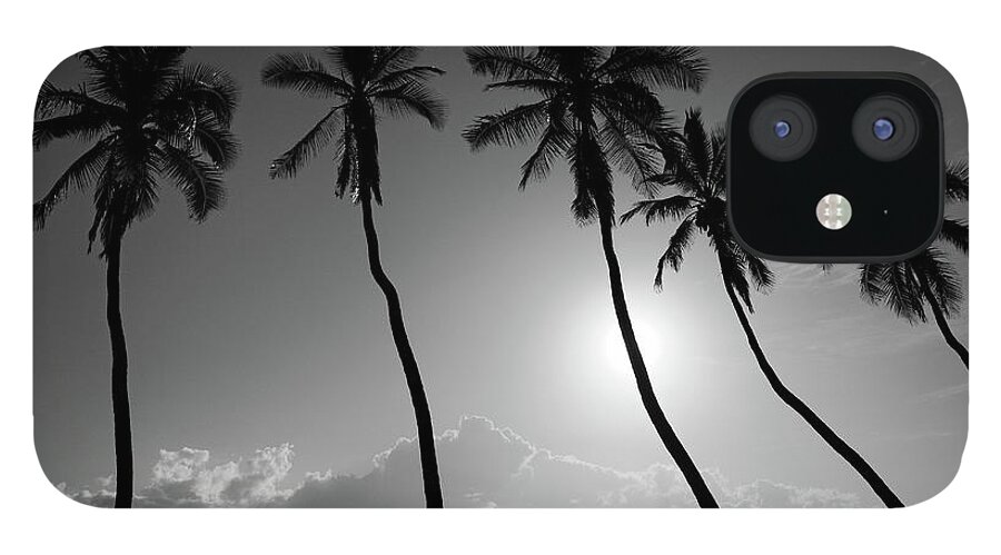 Five iPhone 12 Case featuring the photograph Five coconut palms by Pierre Leclerc Photography