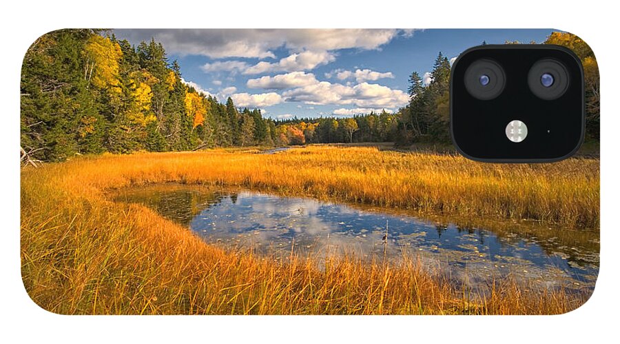 Raven Head Wilderness iPhone 12 Case featuring the photograph Floodplane Autumn by Irwin Barrett