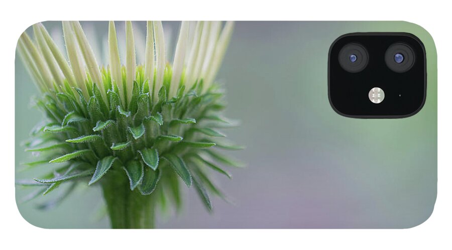 Flower iPhone 12 Case featuring the photograph Flower Crown by Liz Albro