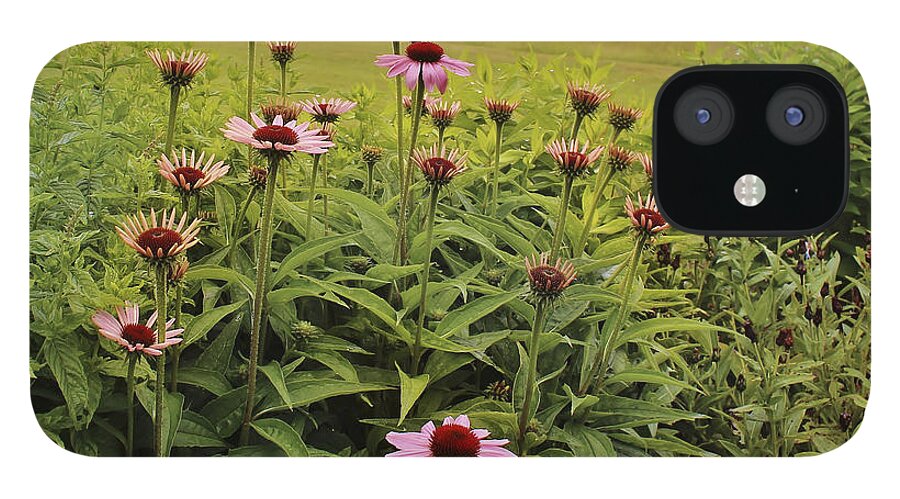 Purple Coneflowers iPhone 12 Case featuring the photograph Flowers in the Fog by Karin Pinkham