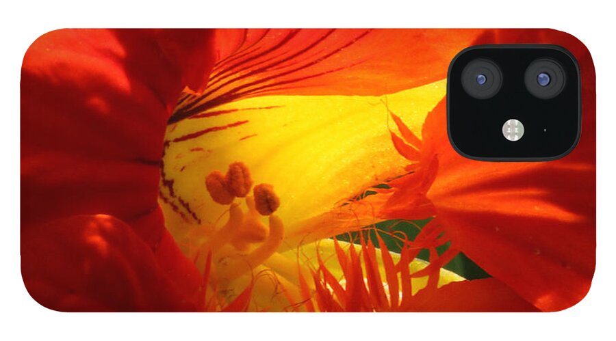 Orange iPhone 12 Case featuring the photograph Flowerscape Nasturtium Two by Laura Davis