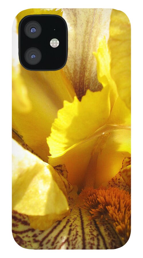 Flower iPhone 12 Case featuring the photograph Flowerscape Yellow Iris Three by Laura Davis