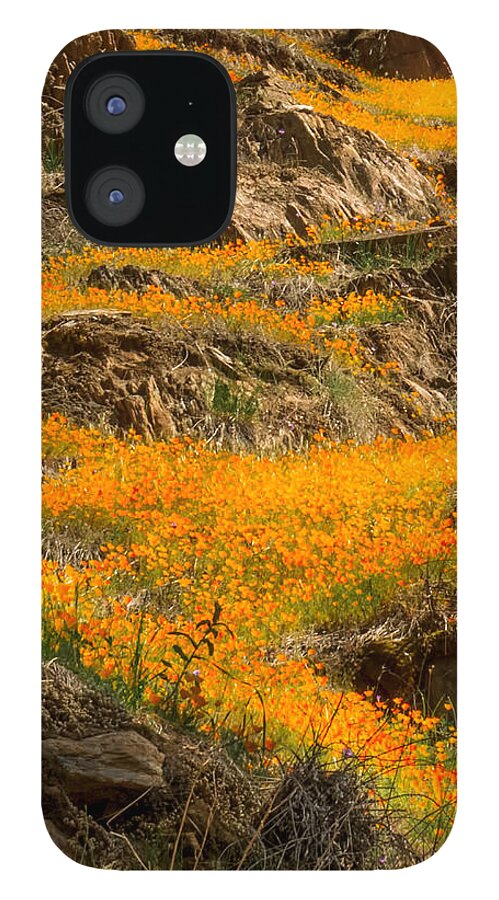 Orange iPhone 12 Case featuring the photograph Flowing Flowers by Susan Eileen Evans