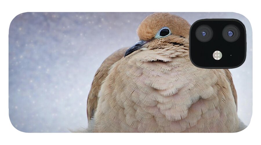 America iPhone 12 Case featuring the photograph Fluffy Mourning Dove by Al Mueller