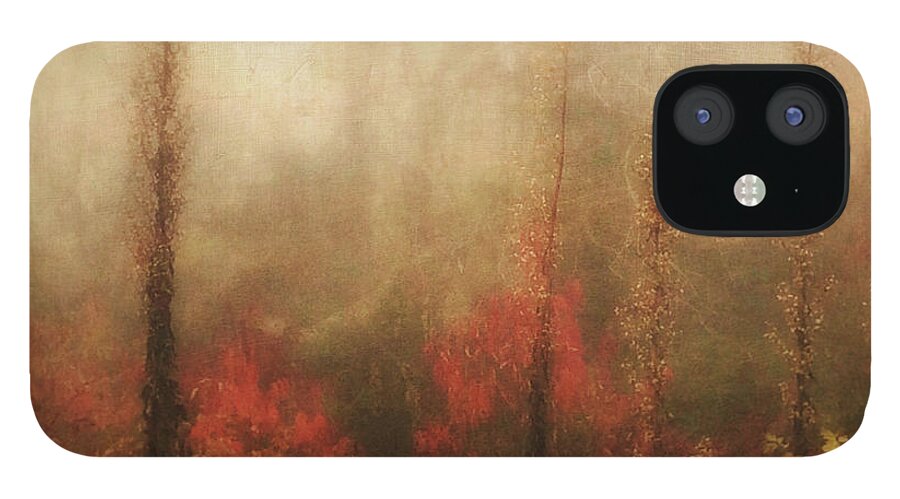 Photography iPhone 12 Case featuring the photograph Foggy Fall on the Parkway by Melissa D Johnston