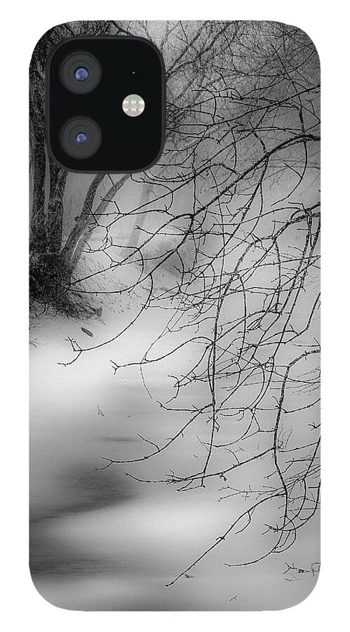  iPhone 12 Case featuring the photograph Foggy Feeder by Kendall McKernon