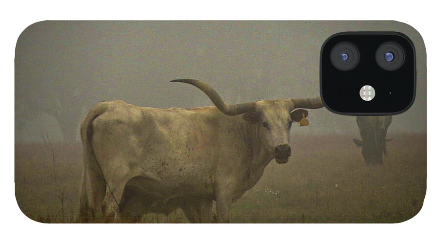 Fog iPhone 12 Case featuring the photograph Foggy Morning on the Ranch by Jerry Connally