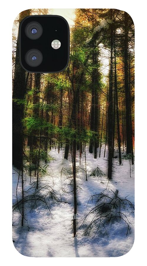 Forest iPhone 12 Case featuring the photograph Forest Dawn by John Meader