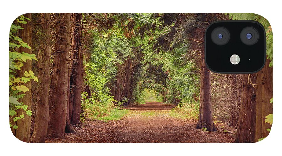 Tunnel iPhone 12 Case featuring the photograph Forest Road by Tim Abeln