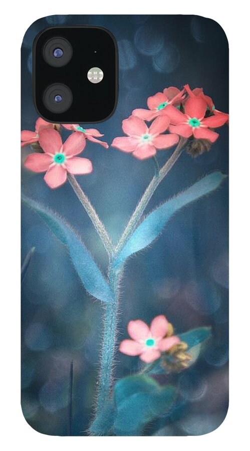 Art iPhone 12 Case featuring the photograph Forget Me Not I by Joan Han