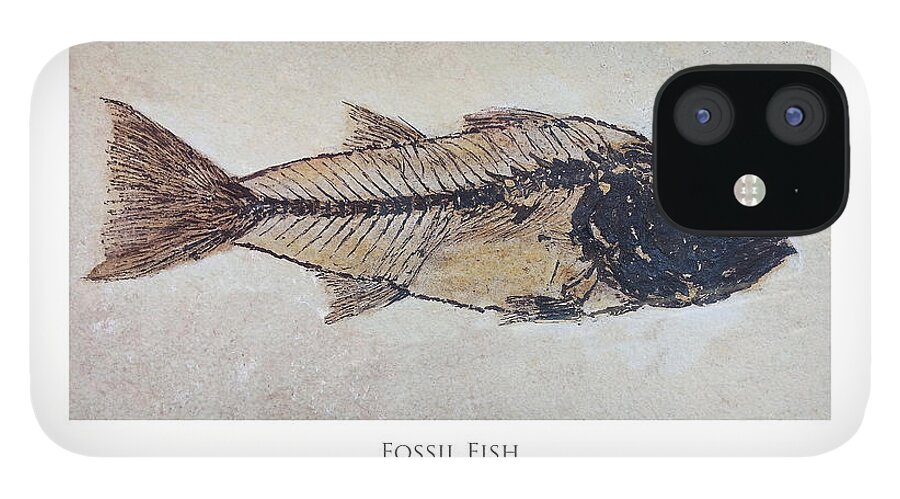 Fish iPhone 12 Case featuring the digital art Fossil Fish by Julian Perry