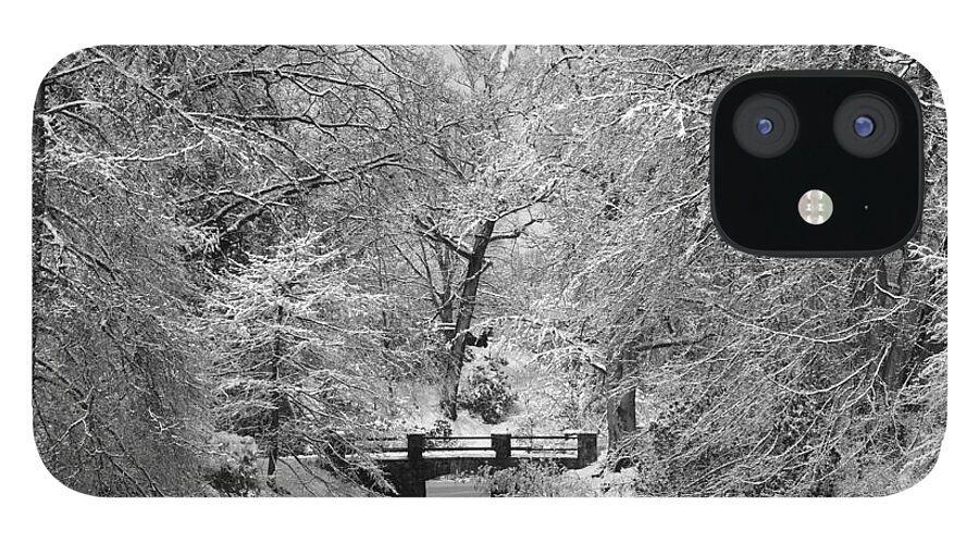 Winter iPhone 12 Case featuring the photograph Fresh Snowfall at Mount Auburn Cemetery by Ken Stampfer