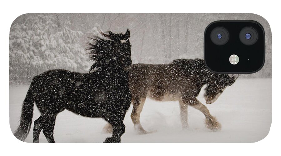 Horses iPhone 12 Case featuring the photograph Frolic in the Snow by Kristia Adams